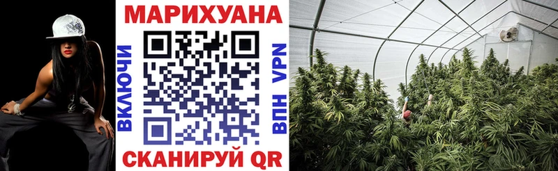 Бошки марихуана конопля  Верхотурье 